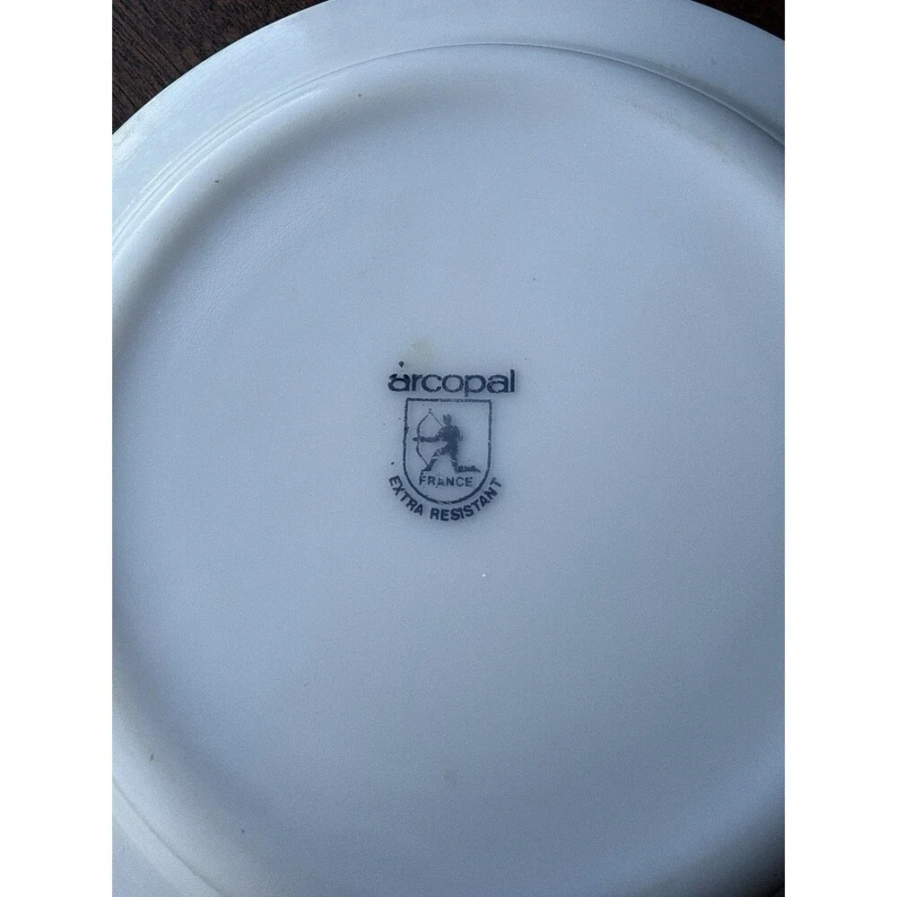 Vintage Arcopal Scania Milk Glass Pasta Bowl Orange And Pink Floral Pattern
